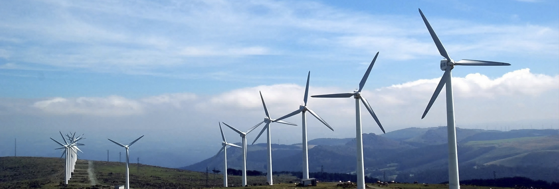 Cost-effective renewable energy projects